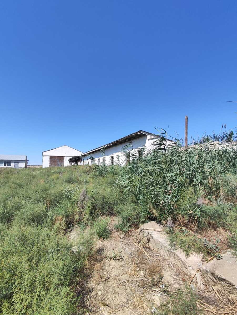 Satılır torpaq 2000 sot — Torpaq, Bakı (2)