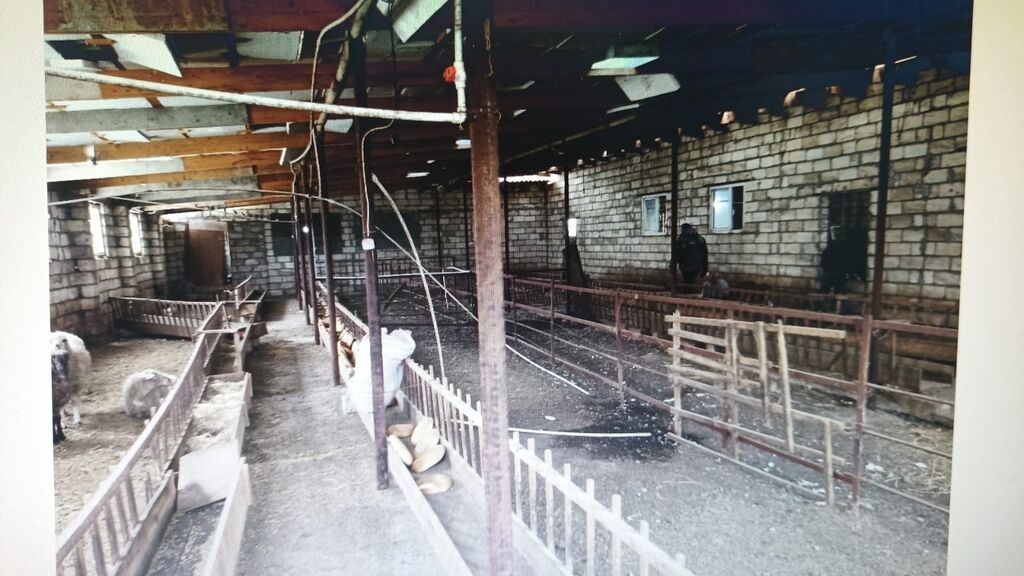 Ferma hazır ıstıfadeye yararlı hec bır xerc teleb etmır umumılıkde 4 — Əmlak, Kürdəmir (9)