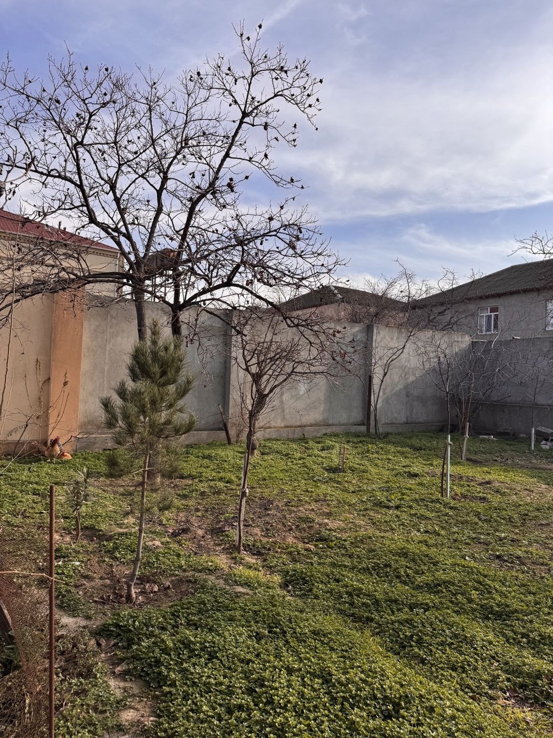 Satılır 7 otaqlı həyət evi/bağ evi 300 m² — Ev, villa, Bakı (6)