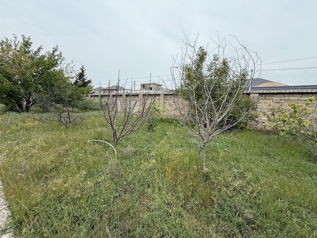 Satılır torpaq 4 sot — Torpaq, Bakı (2)