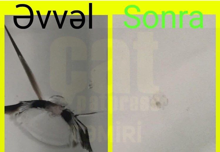Çat ön şüşə təmiri — Avtoxidmət və diaqnostika, Bakı (6)