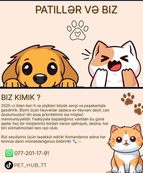 Xidmət Şərtləri və Qiymətlər Birtərəfli dizayn: 10AZN-dən başlayan — Bakı