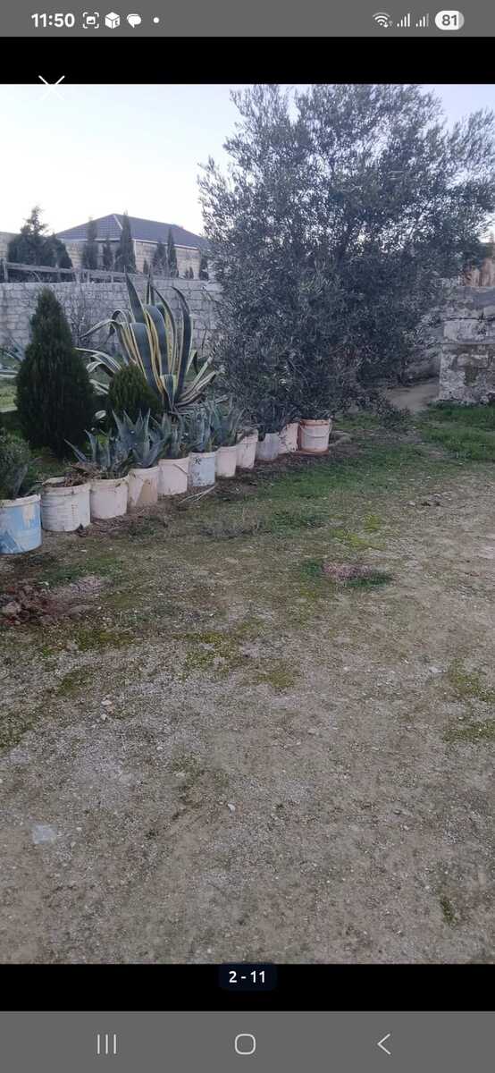 Bağ evi kirayə verilir, Xəzər r — Ev, villa, Bakı (6)