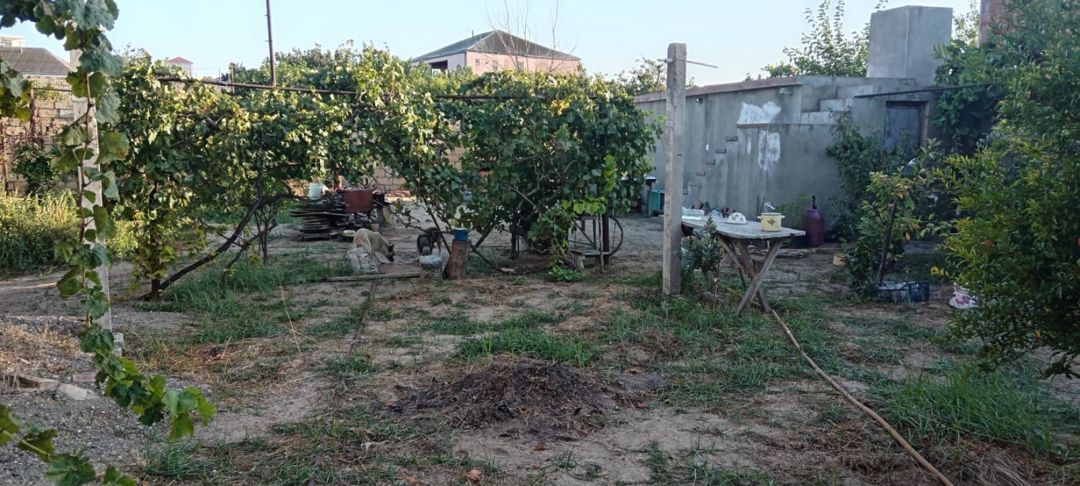 Bağ evi, Novxanı qəs — Ev, villa, Bakı (8)