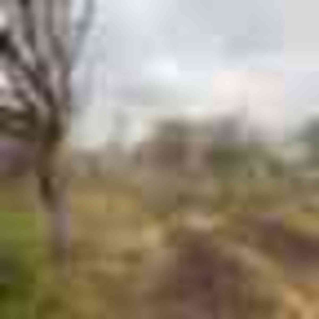 16 sot torpaq sahəsi, Şüvəlan qəs — Torpaq, Bakı (8)