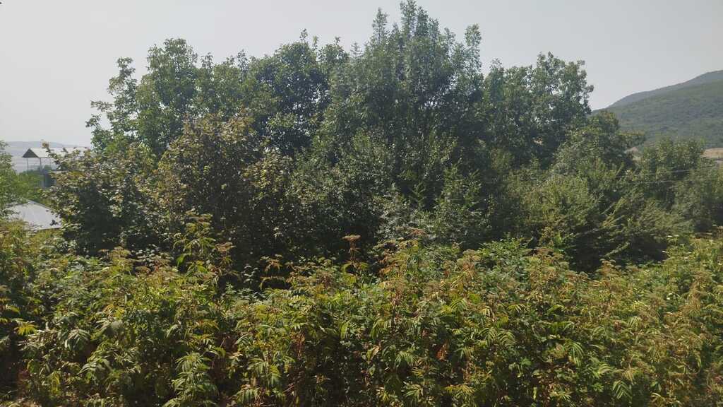 Satılır torpaq 9 sot — Torpaq, İsmayıllı (5)