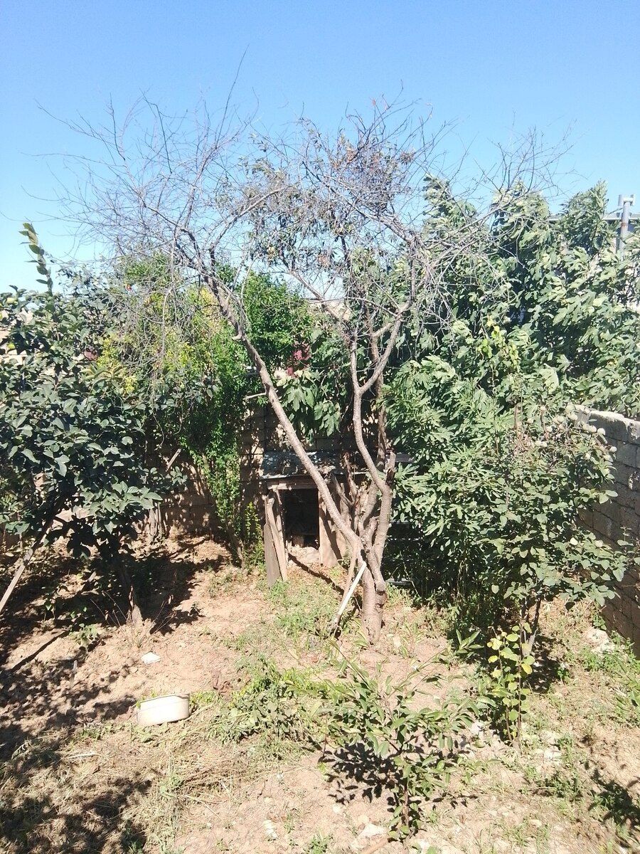 Həyət evi, Savalan qəs — Ev, villa, Bakı (11)