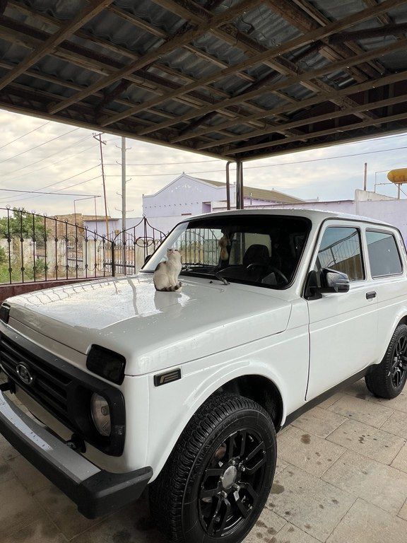Lada (VAZ) Niva, 1.7 L, 2008 il, 95 000 km — Avtomobillər, Bakı (8)
