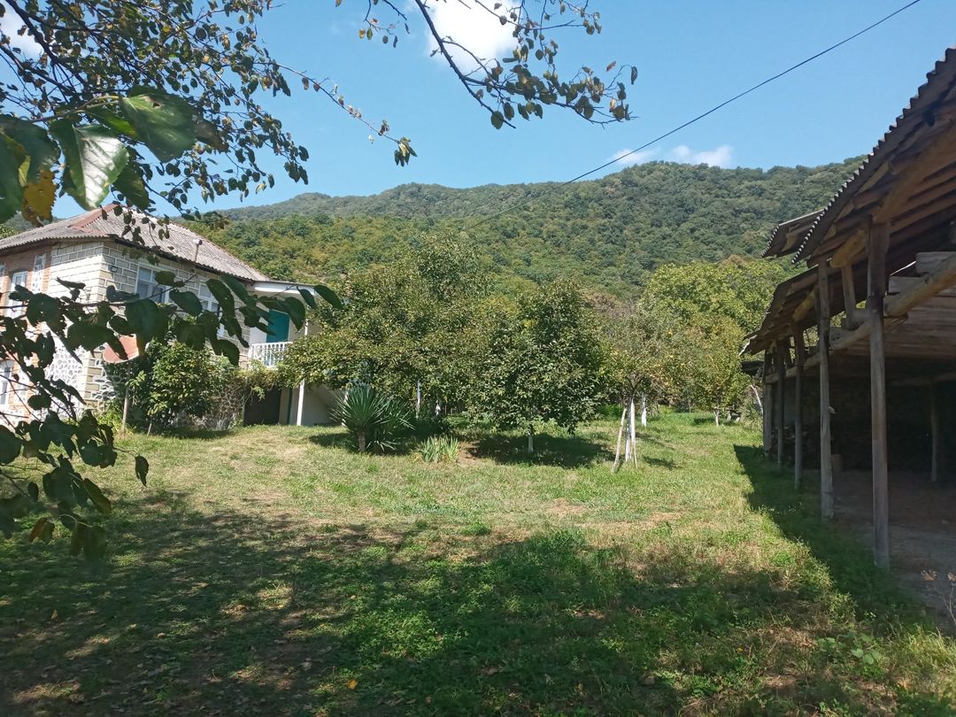 Bağ evi, Zaqatala r — Ev, villa, Zaqatala (2)