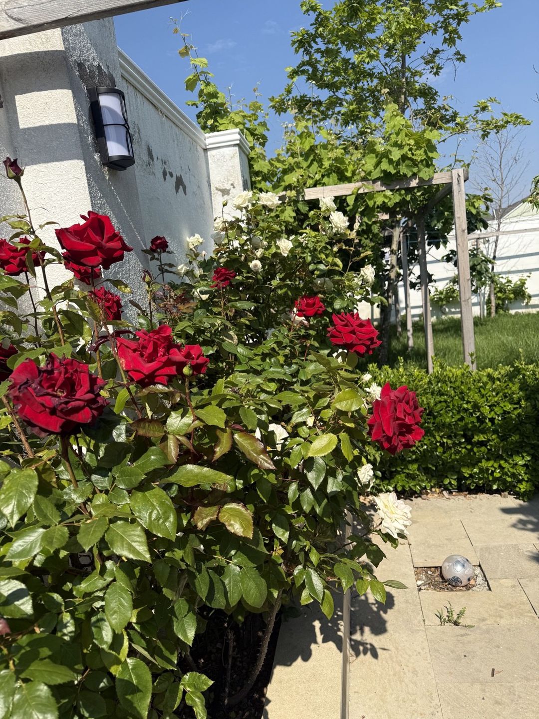 Satılır 4 otaqlı həyət evi/bağ evi 120 m² — Ev, villa, Bakı (7)