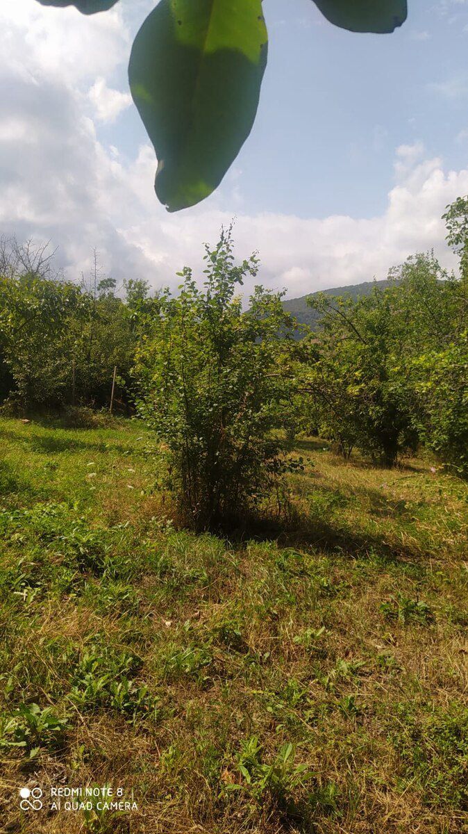 4 sot torpaq sahəsi, Göygöl r — Torpaq, Göyçay (3)