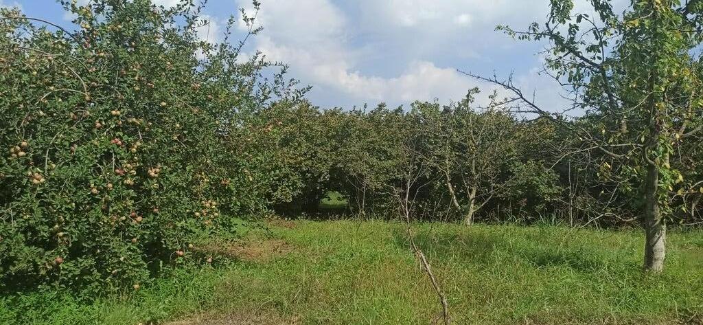 102 sot torpaq sahəsi, Xaçmaz r — Torpaq, Xaçmaz (12)