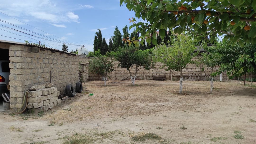 Satılır torpaq 9 sot — Torpaq, Bakı (7)