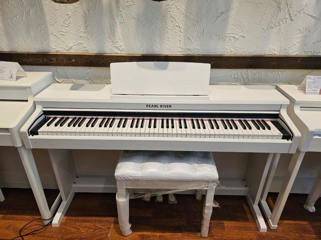 Pearl River v-03 PRO — Musiqiə alətləri, Bakı (5)