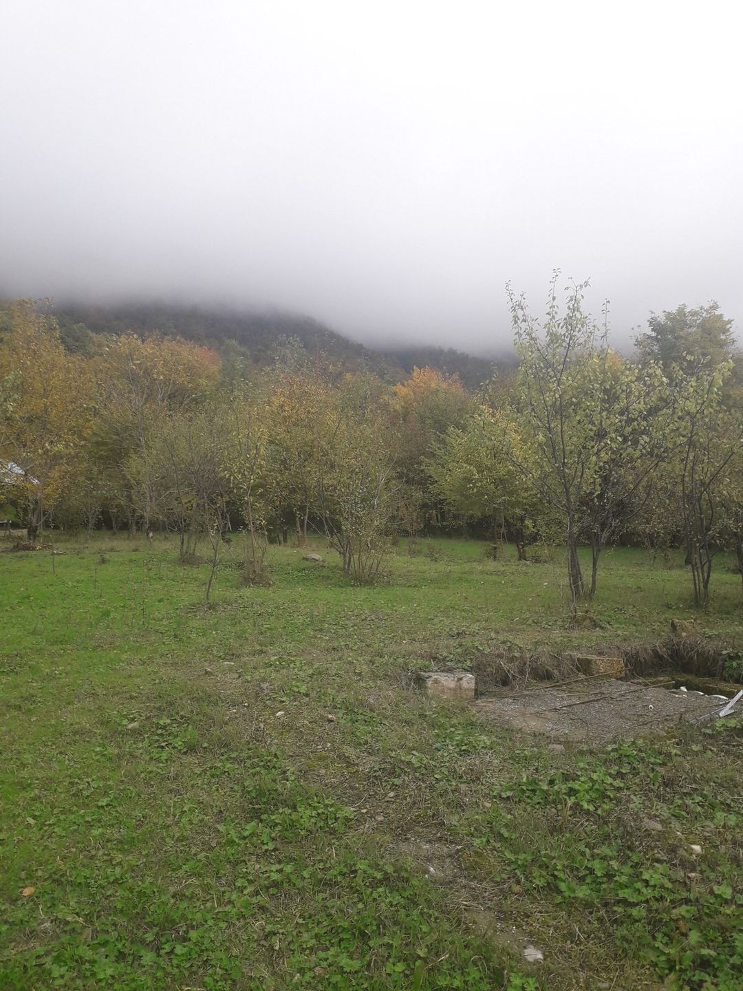 200 sot torpaq sahəsi, Qəbələ r — Torpaq, Qəbələ (4)
