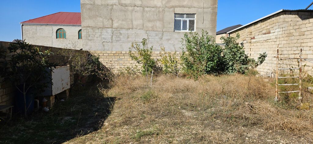 Kənd təsərrüfatı, Kupça (Çıxarış) — Torpaq, Bakı (4)