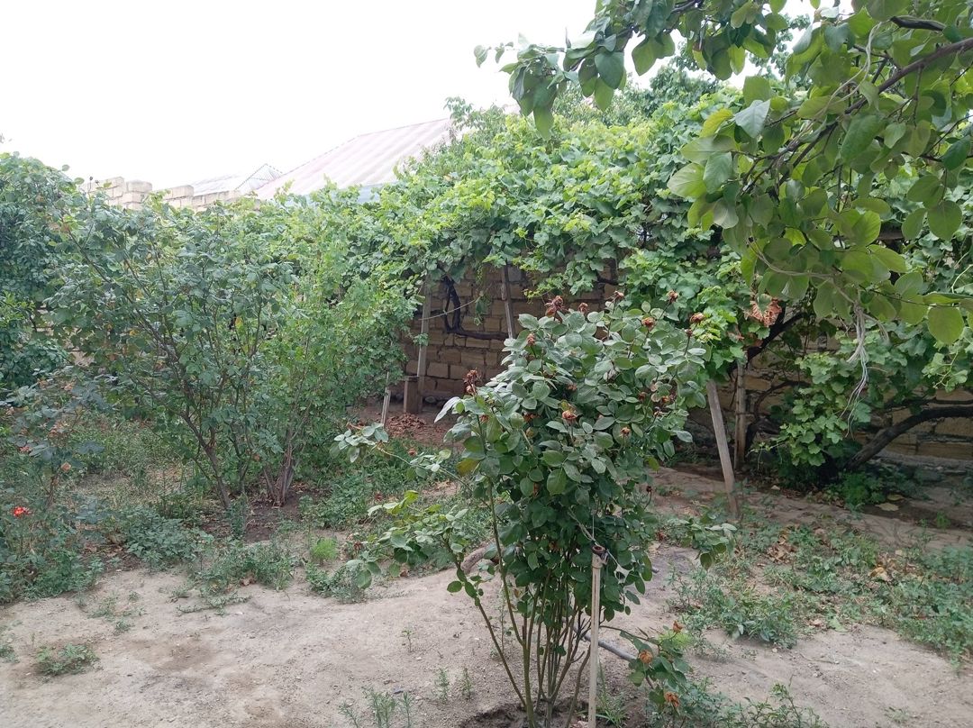 Həyət evi, Cavad xan qəs — Ev, villa, Gəncə (7)