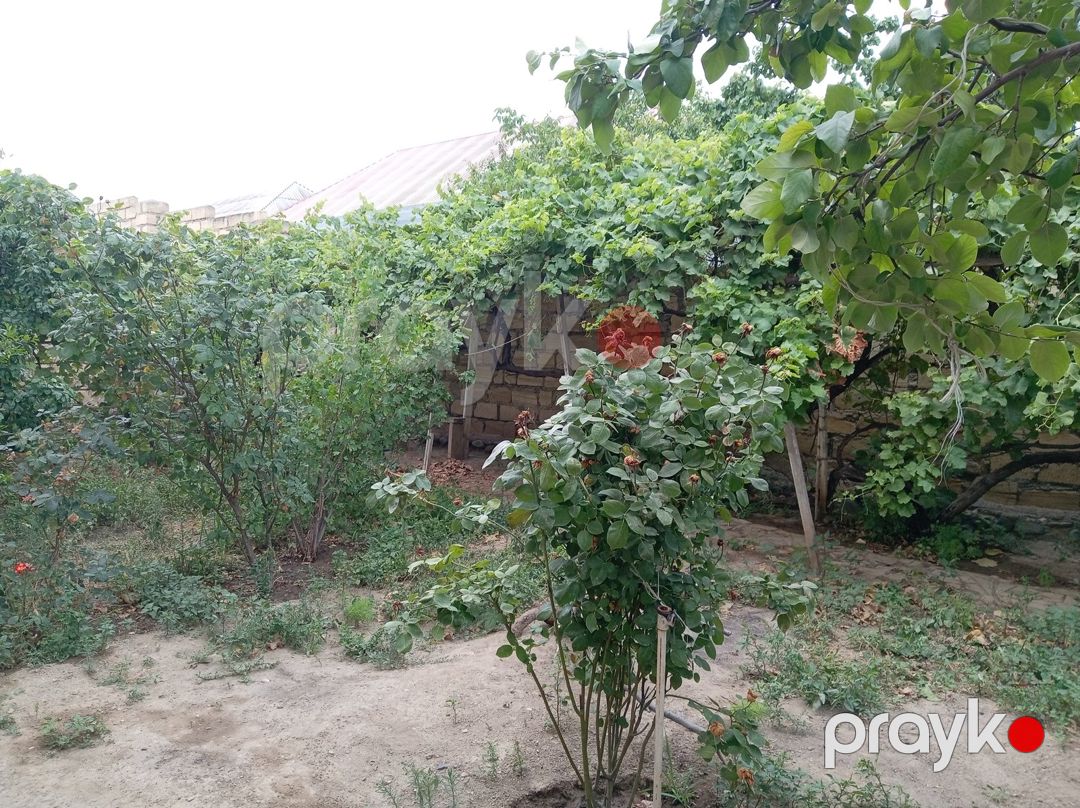 Həyət evi, Cavad xan qəs — Ev, villa, Gəncə (7)