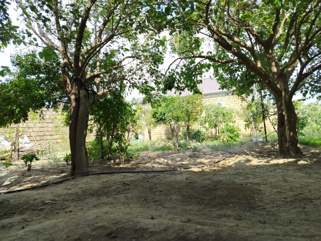 5 otaqlı, 160 kv. m — Ev, villa, Fatmayı (10)