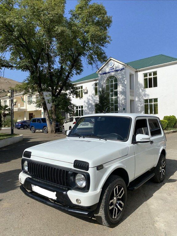 Lada (VAZ) Niva, 1.7 L, 2013 il, 120 000 km — Avtomobillər, Masallı (3)