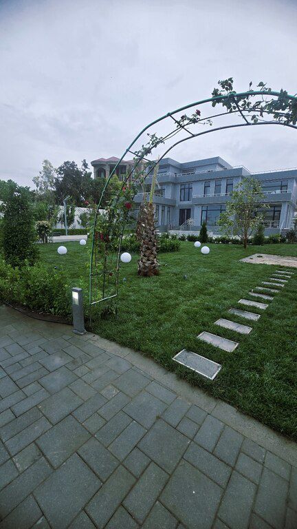 Qazon — Bitkilər, Bakı (8)