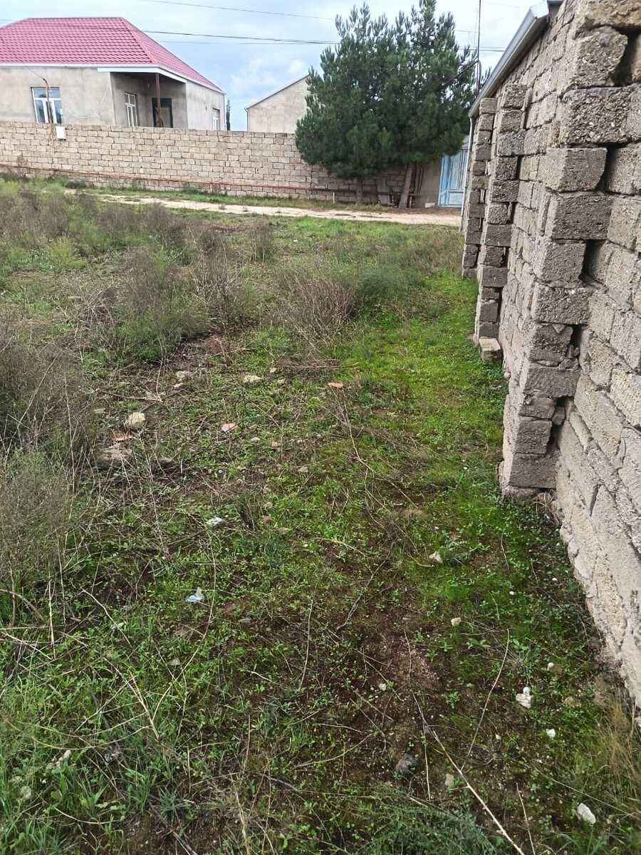 3 sot torpaq sahəsi, Buzovna qəs — Torpaq, Bakı (12)