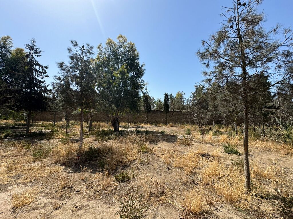 22 sot torpaq sahəsi, Şüvəlan qəs — Torpaq, Bakı (4)