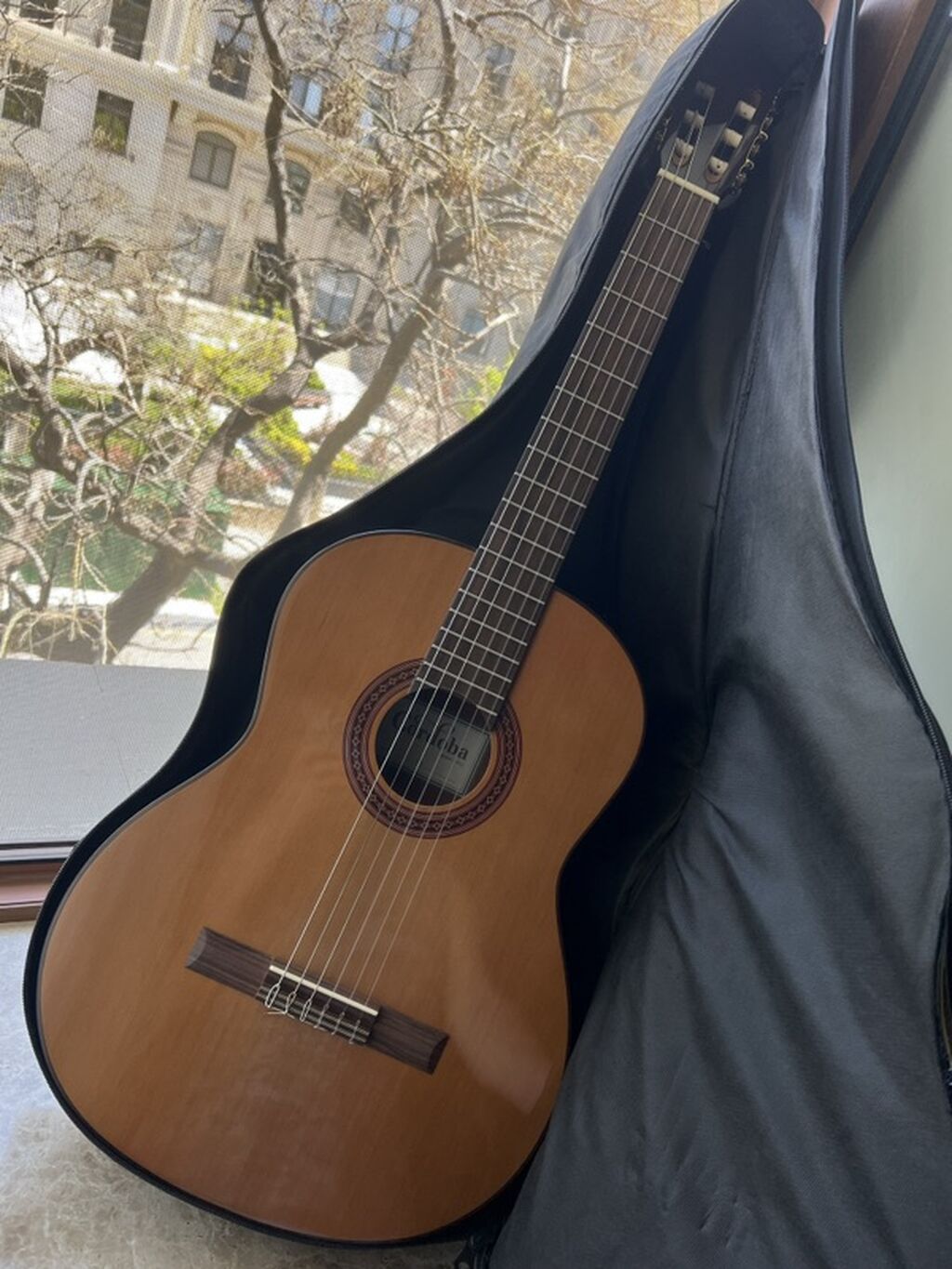 Yeni, istifadə olunmamış Cordoba C5 (Iberia Series) klassik gitara — Gitarlar və digər simli alətlər, Bakı (2)