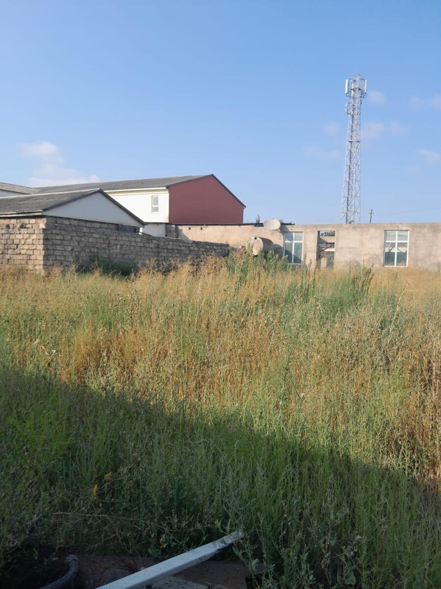 Satılır torpaq 17 sot — Torpaq, Bakı (11)