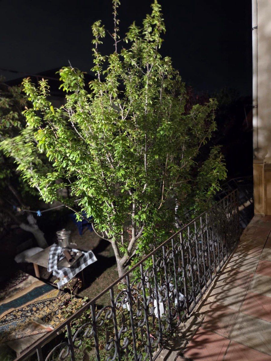 Satılır 5 otaqlı həyət evi/bağ evi 160 m² — Ev, villa, Bakı (7)