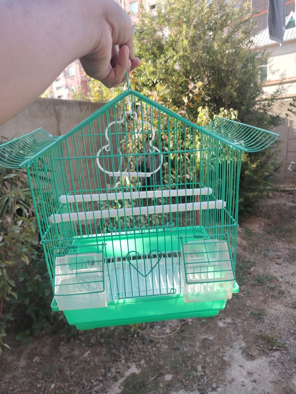 Papuqay ucun qefes satilir 1 eded 10 azn — Qəfəslər, Masazır (3)