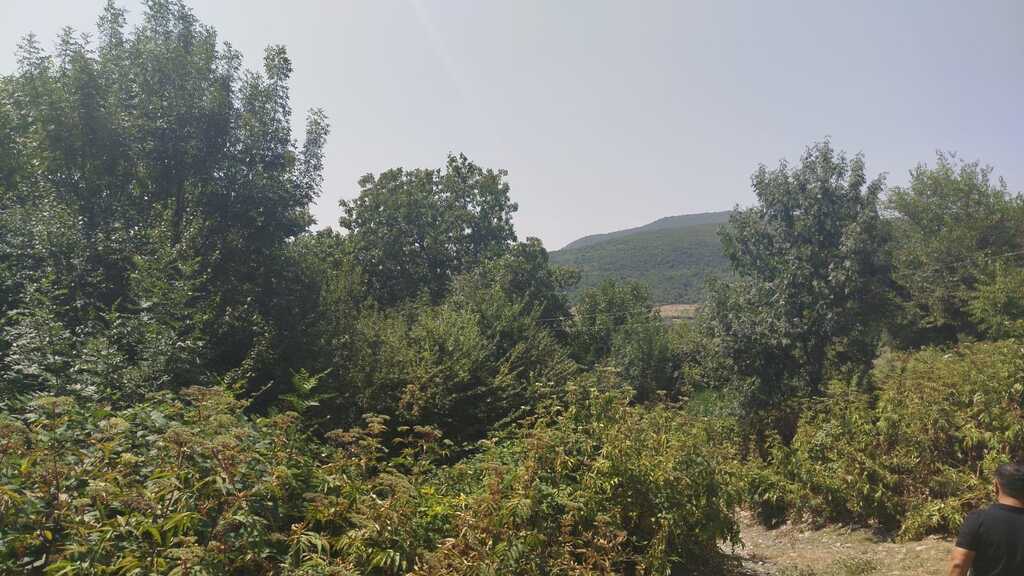 Satılır torpaq 9 sot — Torpaq, İsmayıllı (6)