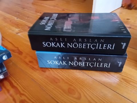 Sokak nöbetçileri — Bakı