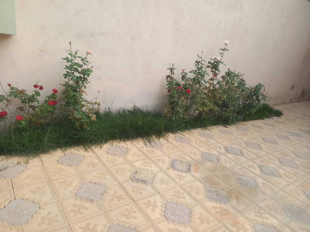 İcarəyə verilir 7 otaqlı həyət evi/bağ evi 150 m² — Ev, villa, Bakı (3)