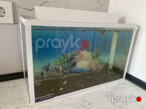 Dördbucaq akvarium, Balıqlarla birlikdə, 20 l, Ünvandan götürmə — Digah