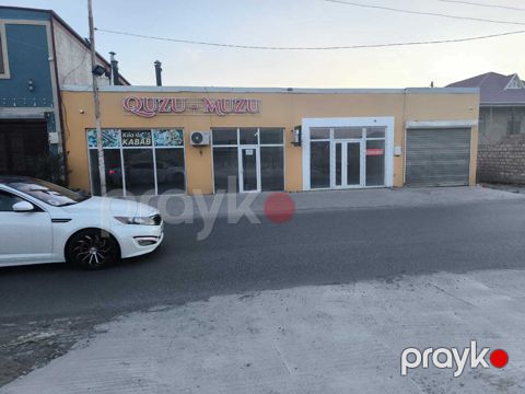 Mağaza, Saray qəs