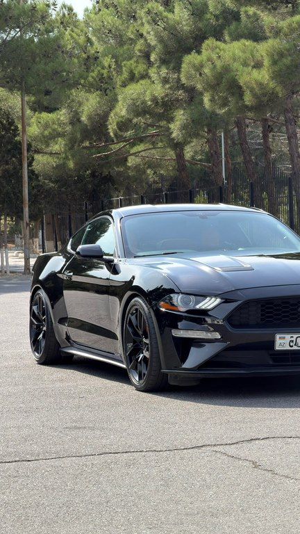 Ford Mustang, 2.3 L, 2019 il, 115 000 km — Avtomobillər, Sumqayıt (4)