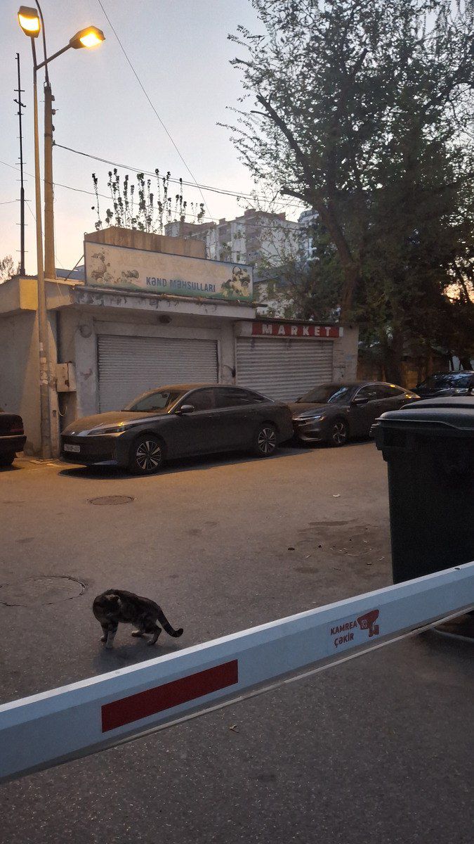 Satılır obyekt 20 m² — Əmlak, Bakı (4)