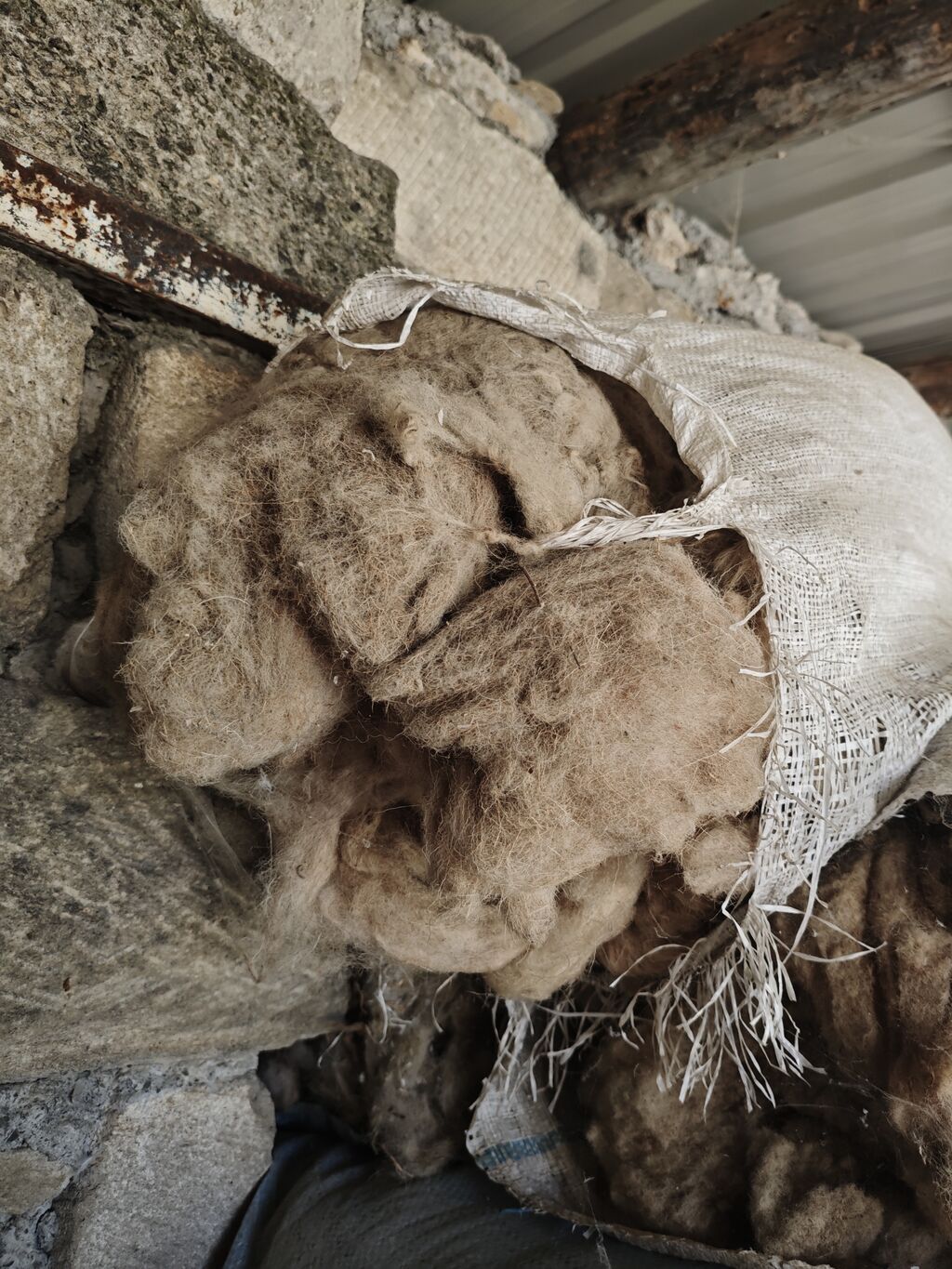 Çirkli yün. 3 manata. Real alıcıya endirim olacaq Məhsul: Təbii qoyun — Digər, Xaçmaz (3)