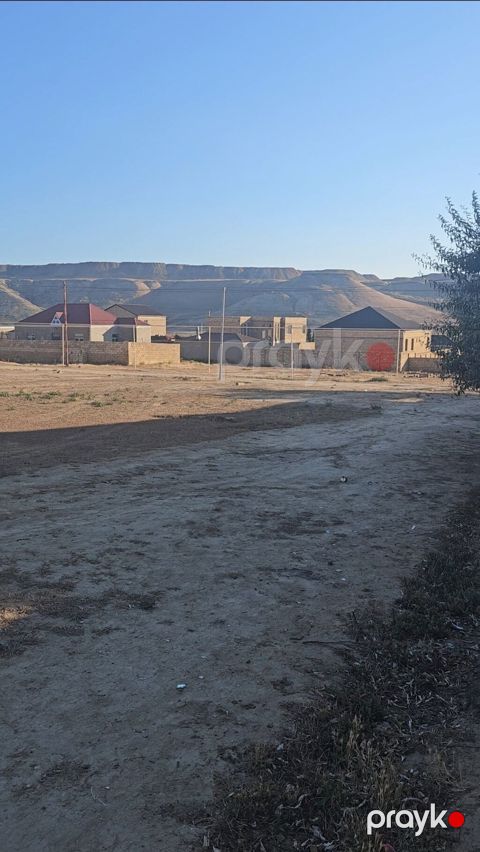 Tikinti
