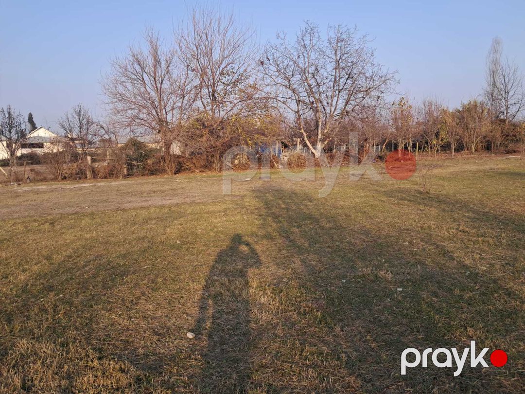 25 sot torpaq sahəsi, Göyçay r — Torpaq, Göyçay (6)