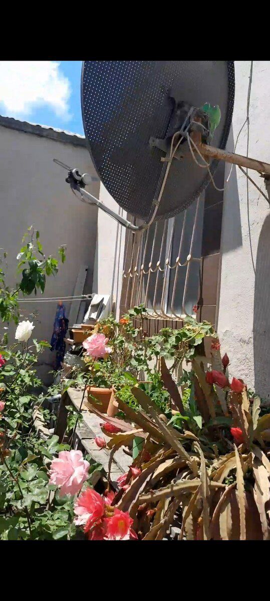 Həyət evi, Xırdalan ş — Ev, villa, Bakı (2)