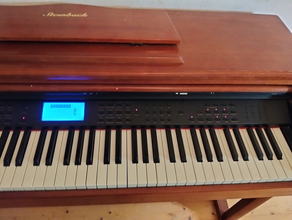 Steinbach rəqəmsal piano – klassik mebel korpusu ilə - Marka/model — Pianino və digər klaviş alətləri, Digah (10)