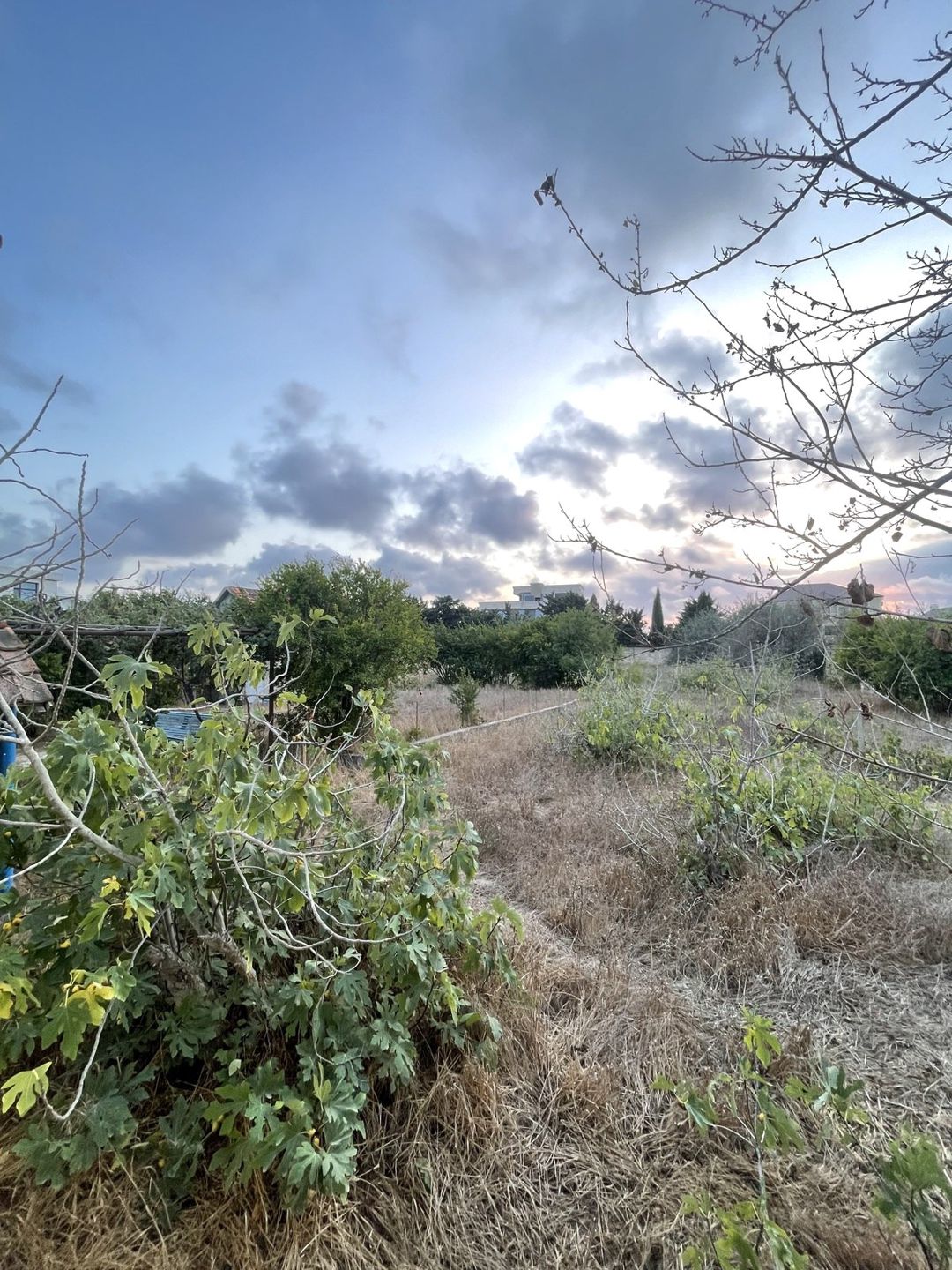 Satılır torpaq 22 sot — Torpaq, Bakı (3)