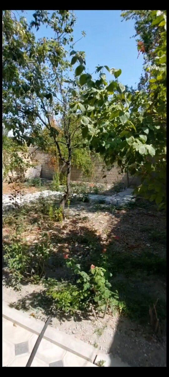 Villa, Göyçay r — Ev, villa, Göyçay (10)