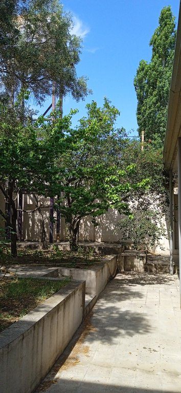 Satılır 5 otaqlı həyət evi/bağ evi 258 m² — Bakı