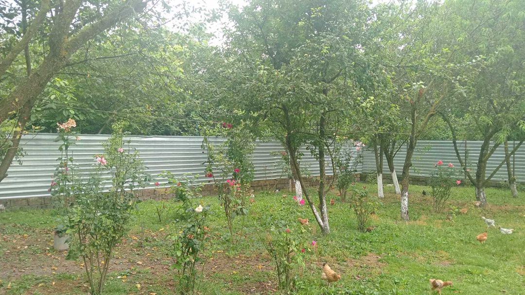 Həyət evi, Oğuz r — Ev, villa, Oğuz (11)