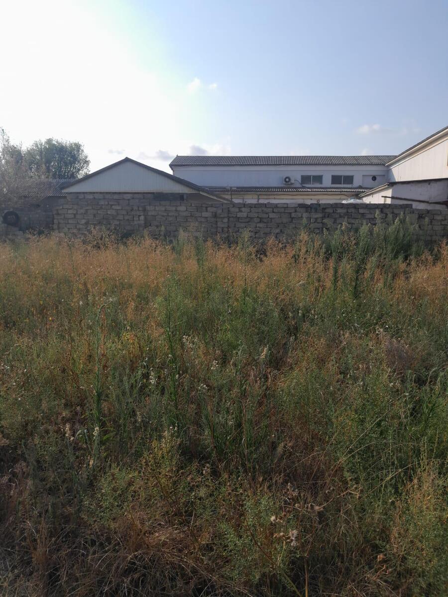 Satılır torpaq 17 sot — Torpaq, Bakı (9)