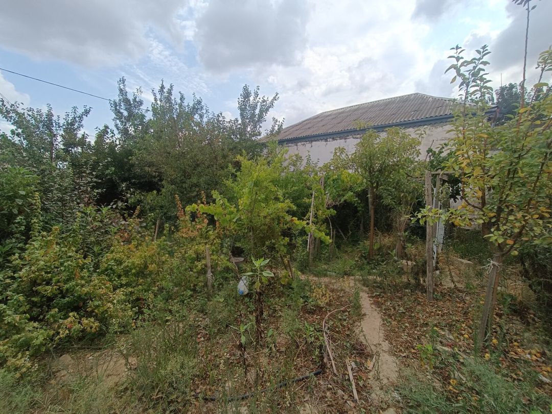 4 sot torpaq sahəsi, Binəqədi r — Torpaq, Bakı (5)