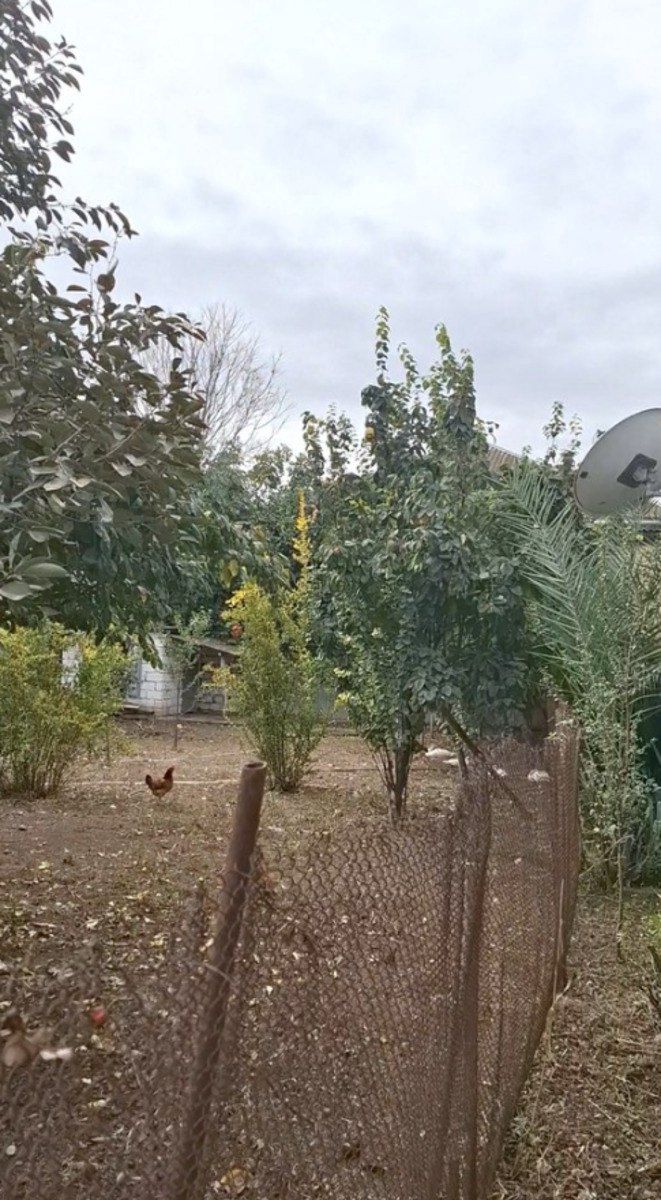 Satılır 4 otaqlı həyət evi/bağ evi 146 m² — Ev, villa, İmişli (6)